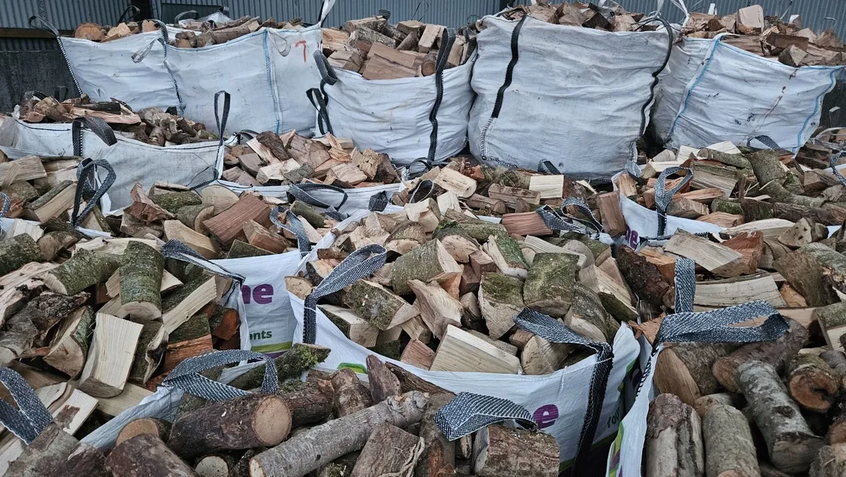 Firewood - Image 4