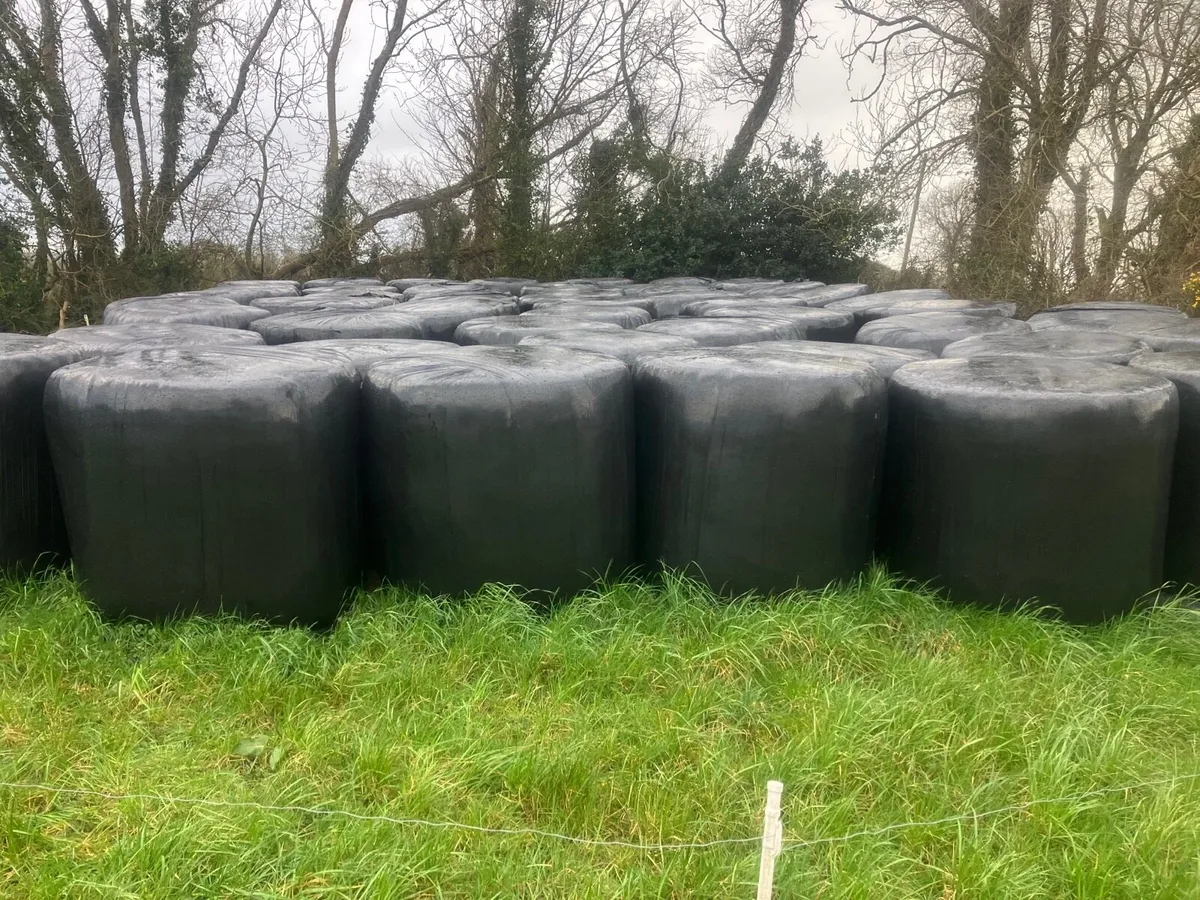 Round bales