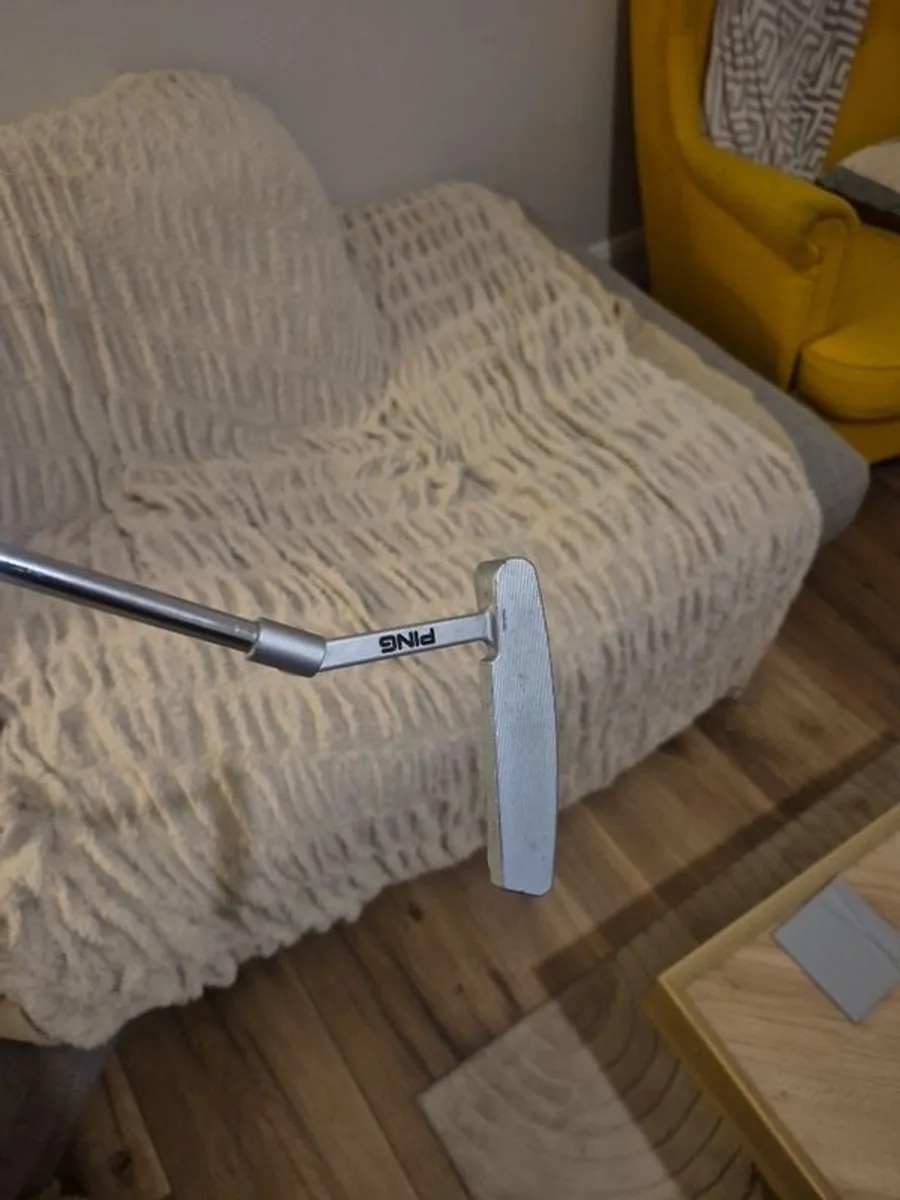 Ping Anser 5 - Image 2