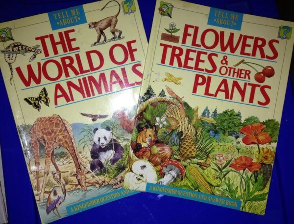Children's Books - Image 1