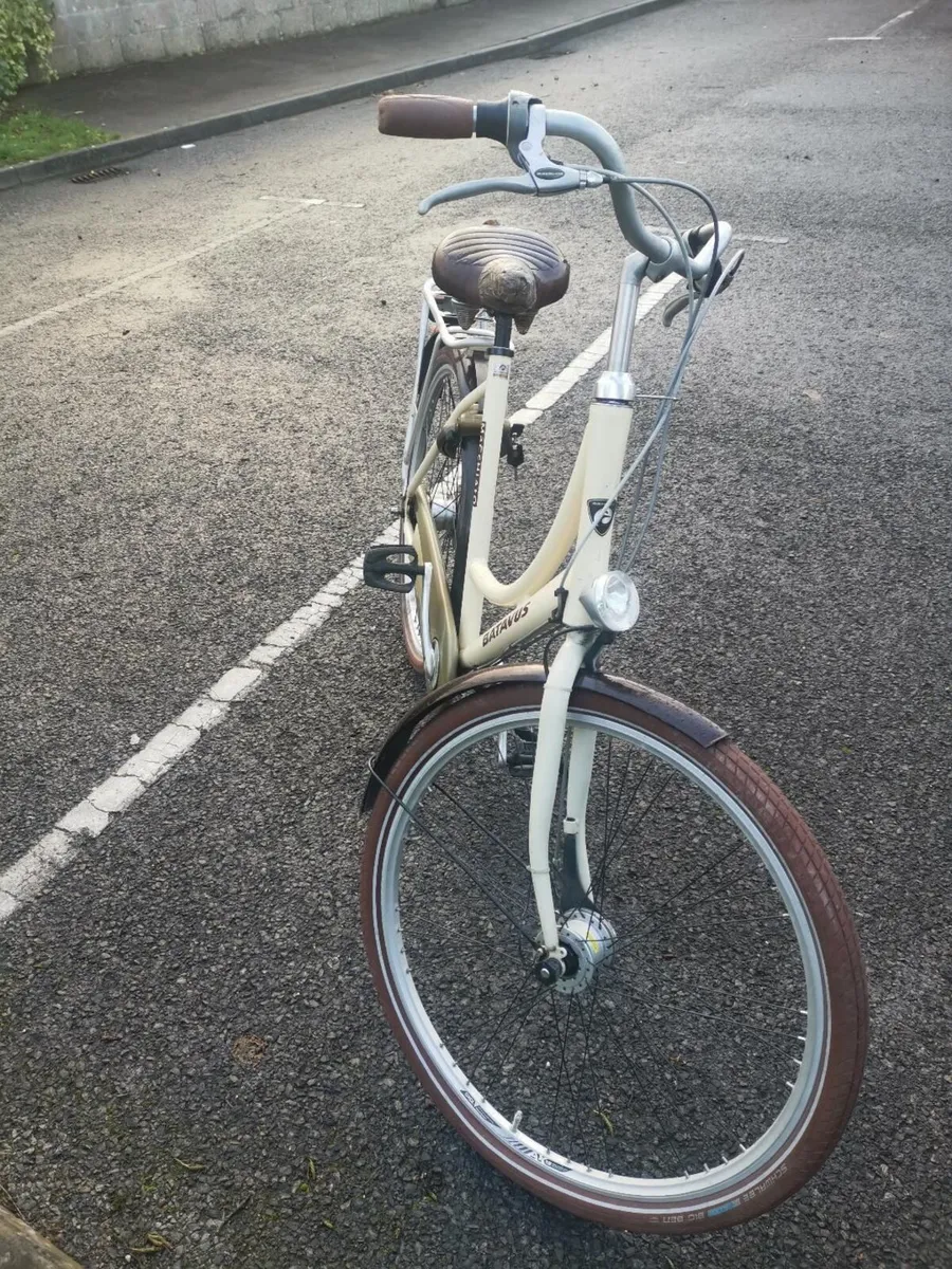Adult Bicycle - Batavus - Image 1