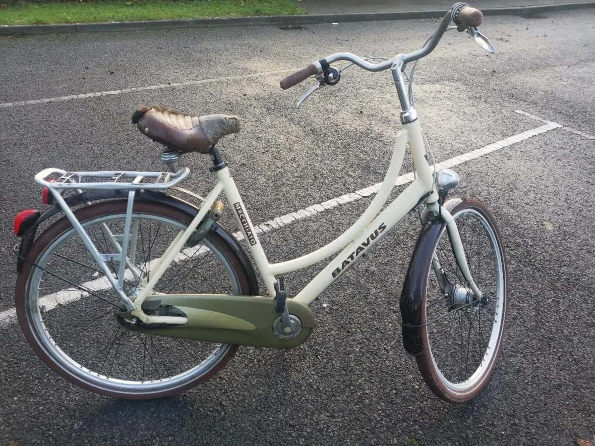 Adult Bicycle - Batavus - Image 3