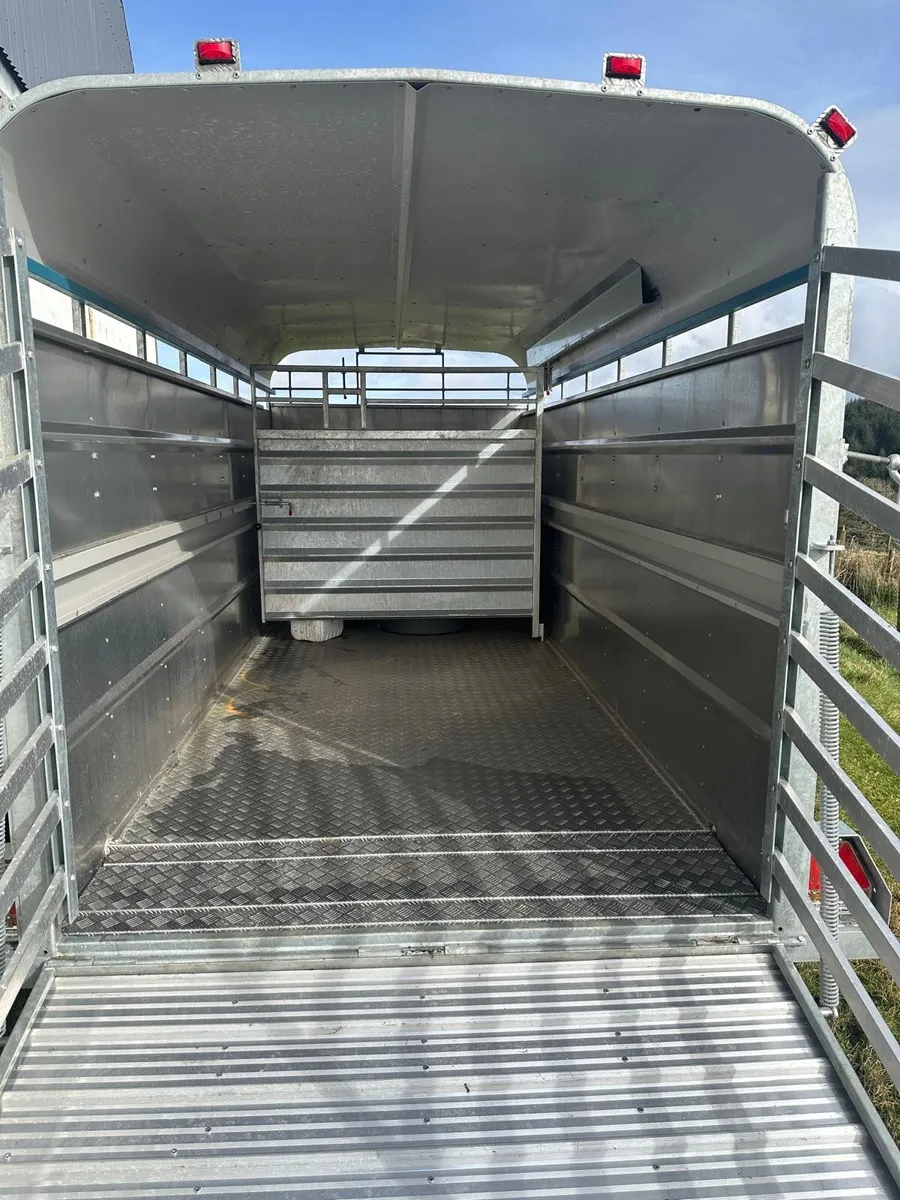 Cattle trailer - Image 3