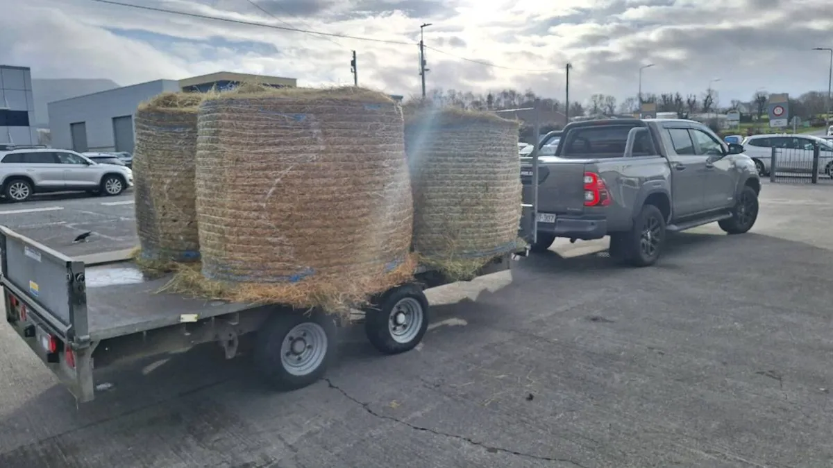 Haylage and hay - Image 1