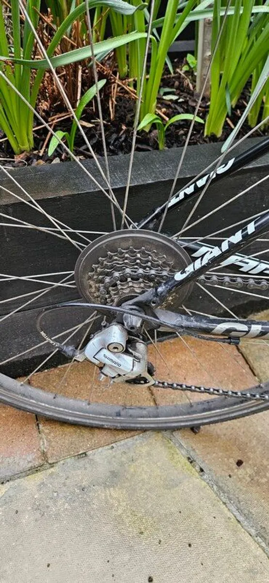 Giant Bike - Image 3