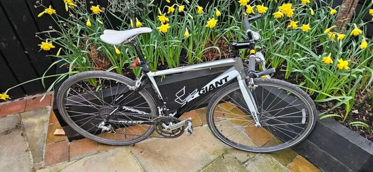 Giant Bike - Image 1