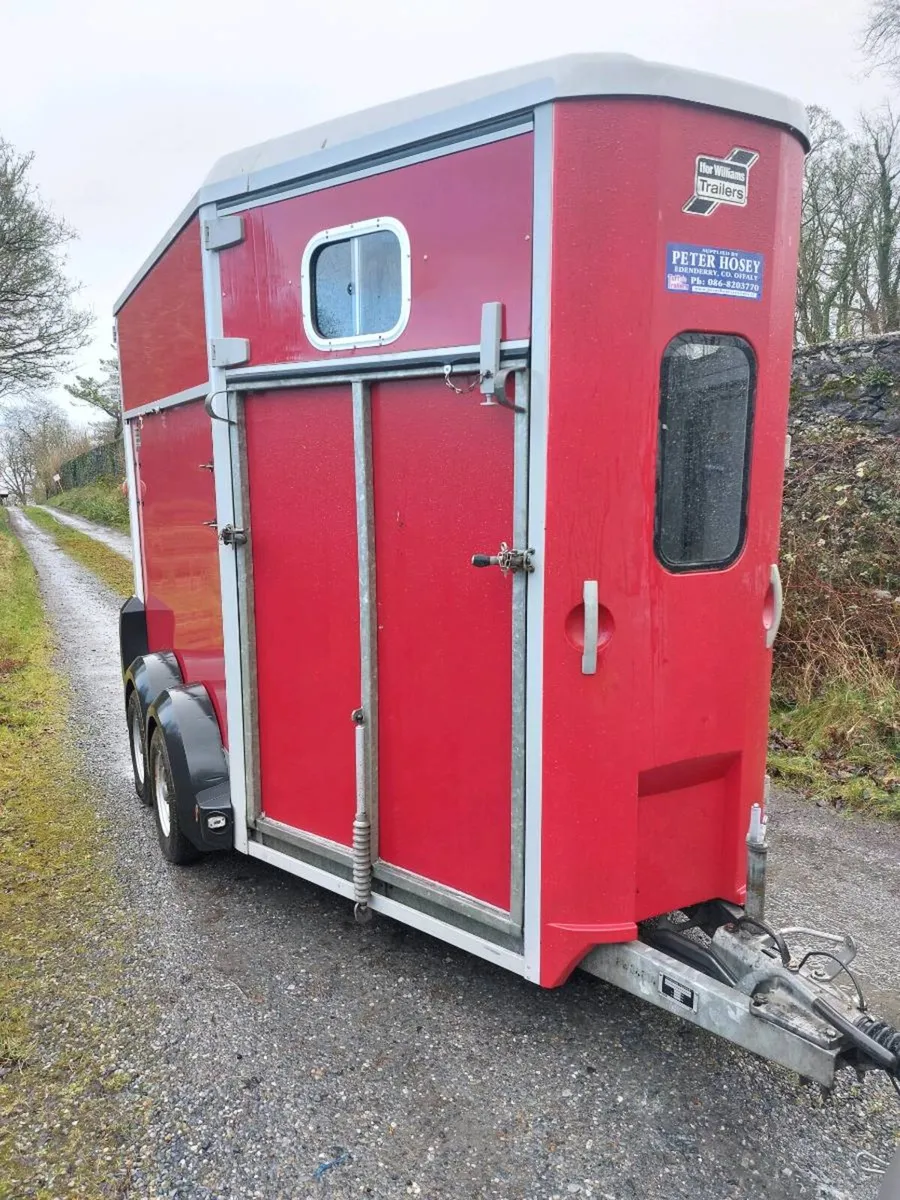 Ifor Williams 511 horsebox - Image 1
