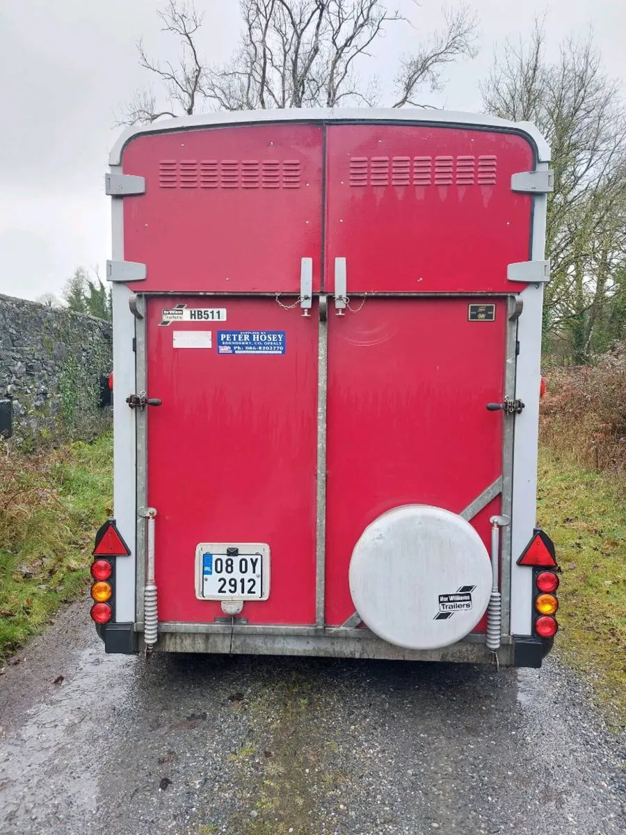Ifor Williams 511 horsebox - Image 2
