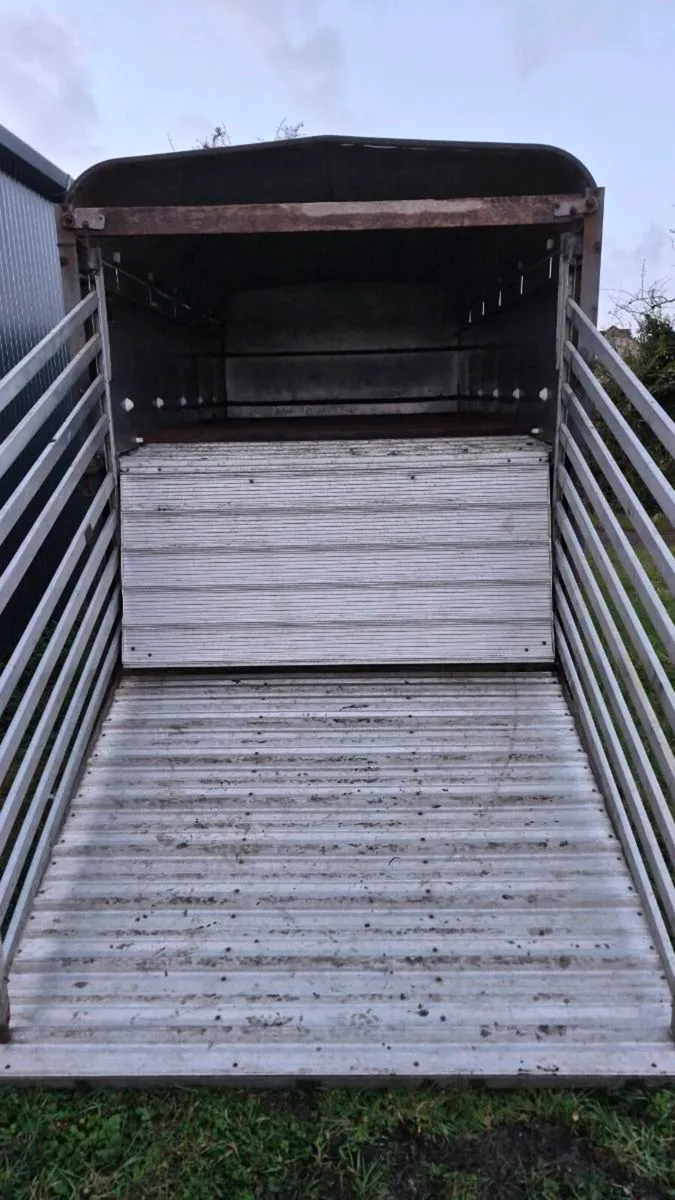 Sheep decks - Image 2