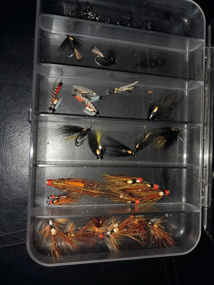 Salmon flies - Image 2