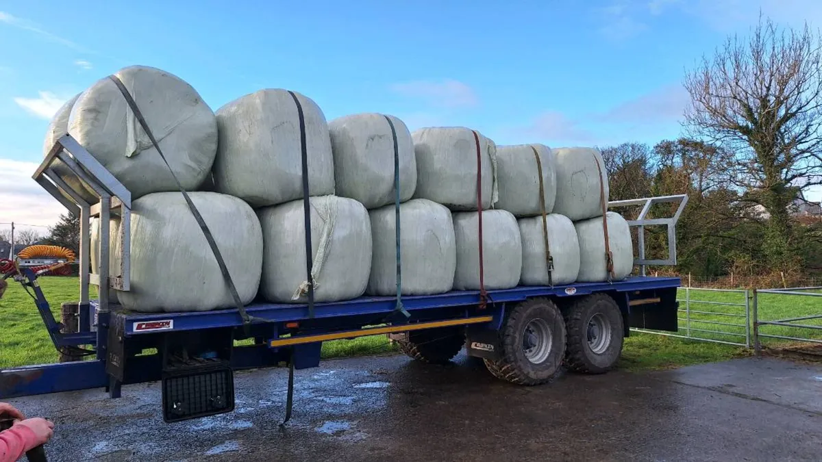 Haylage and hay - Image 3