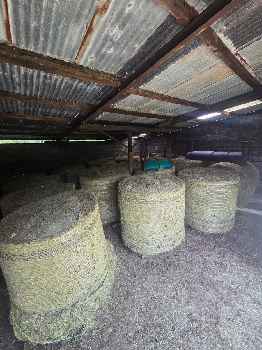 Hay & Silage round bales - Image 1