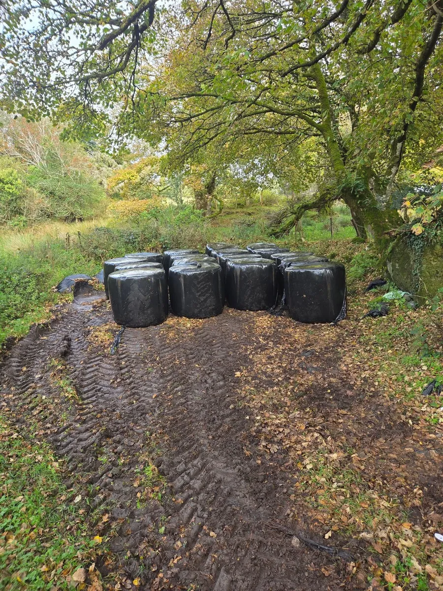 Hay & Silage round bales - Image 2