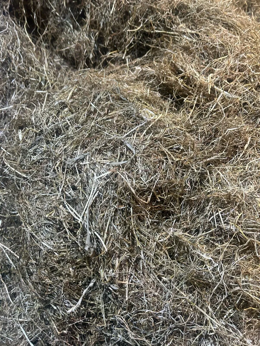 Haylage - Image 2