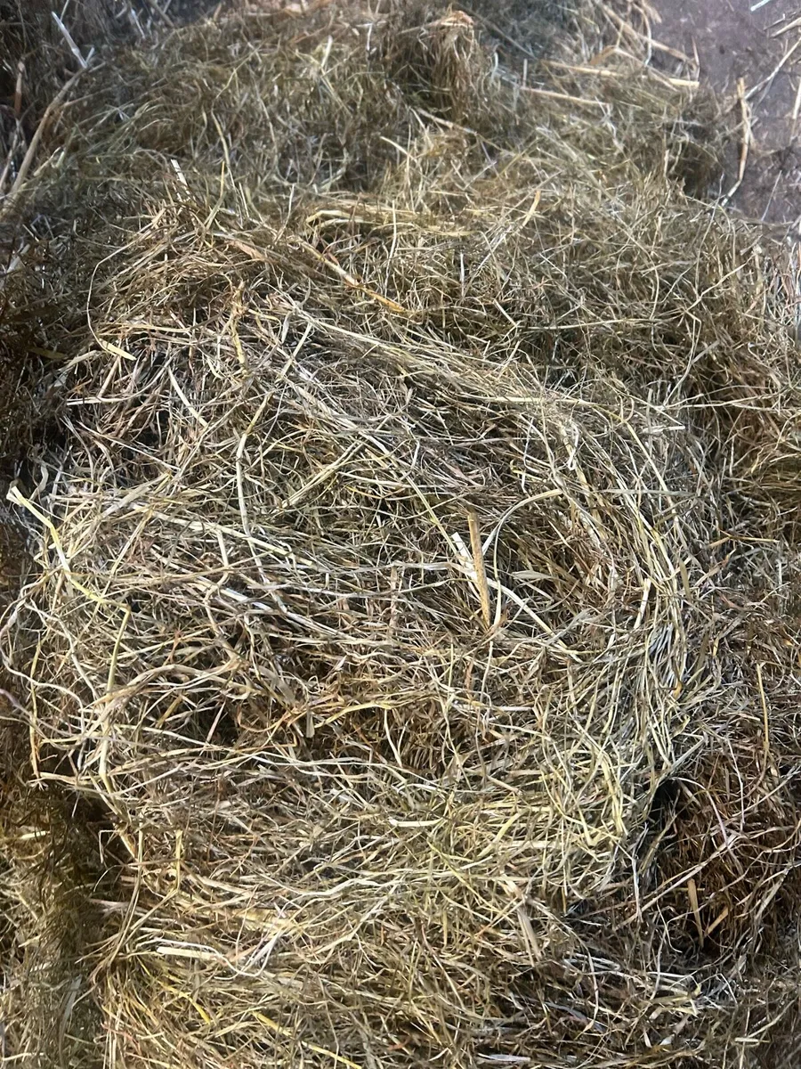 Haylage - Image 3