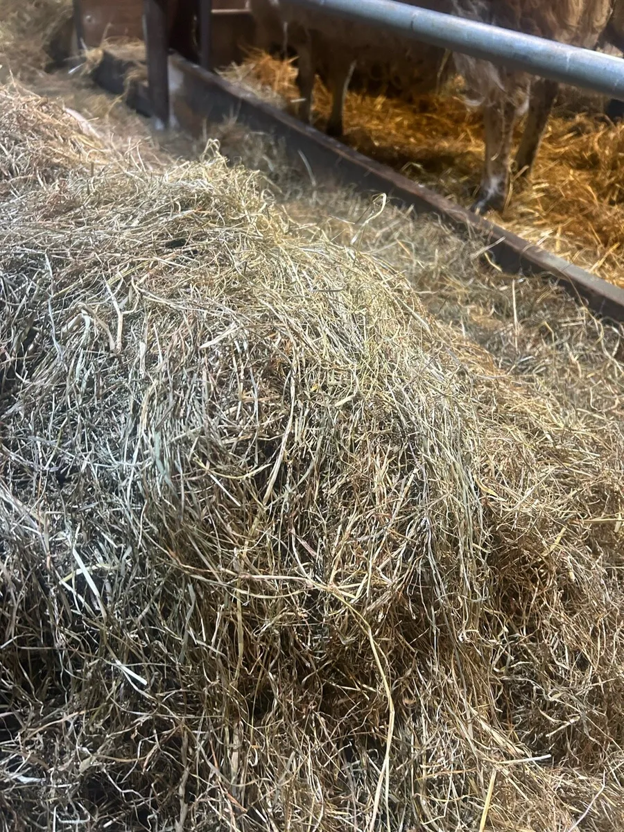 Haylage - Image 4