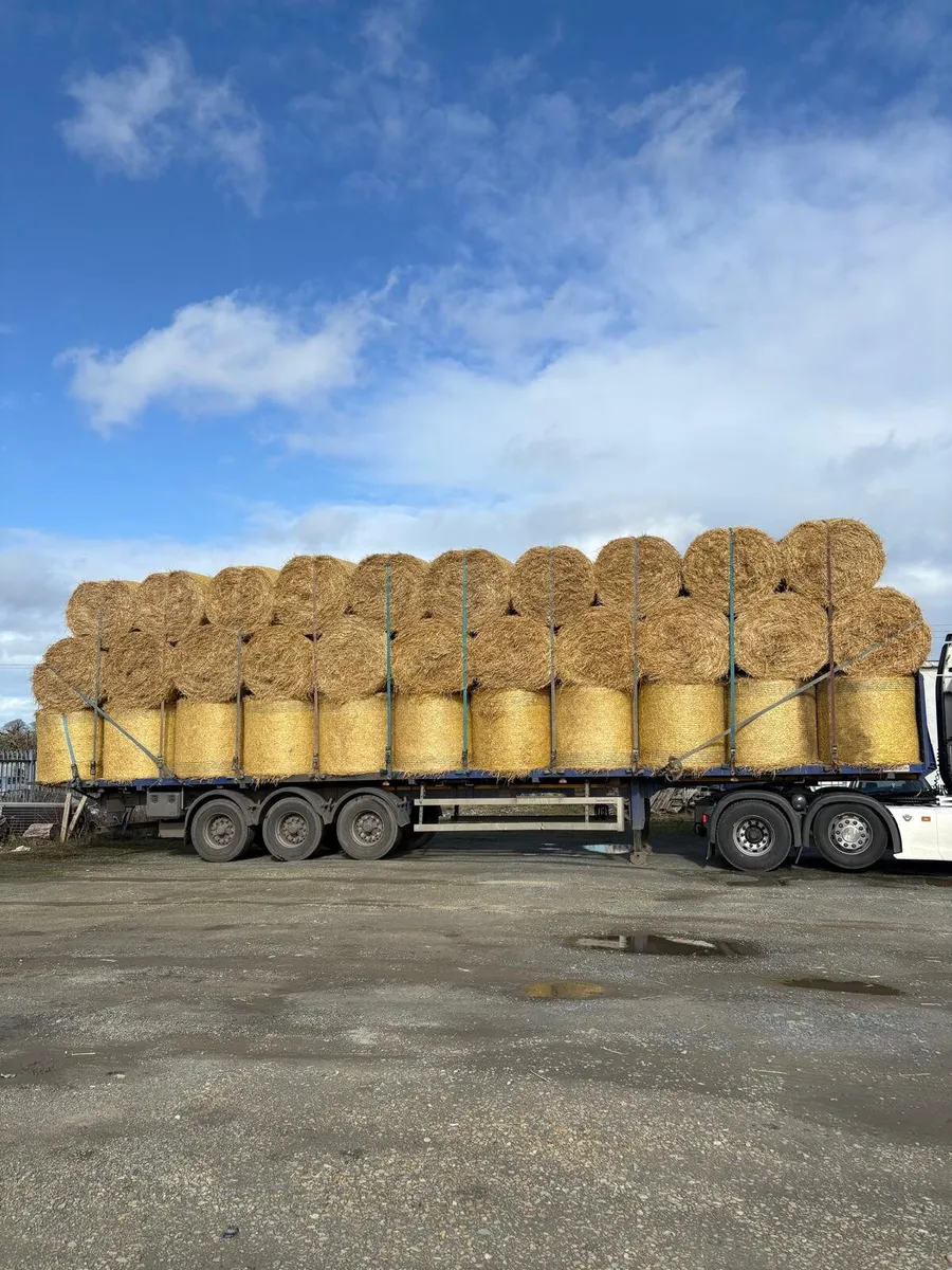 Straw for sale - Image 1