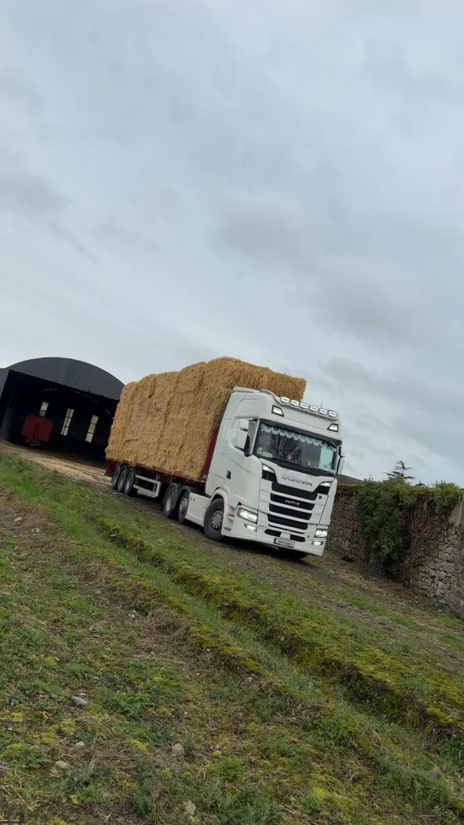 Straw for sale - Image 2