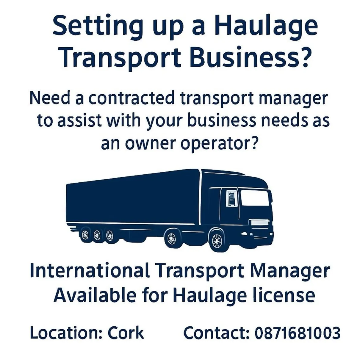 TRANSPORT MANAGER - Image 1