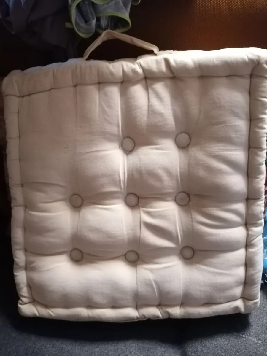 2 Large cushions - Image 1