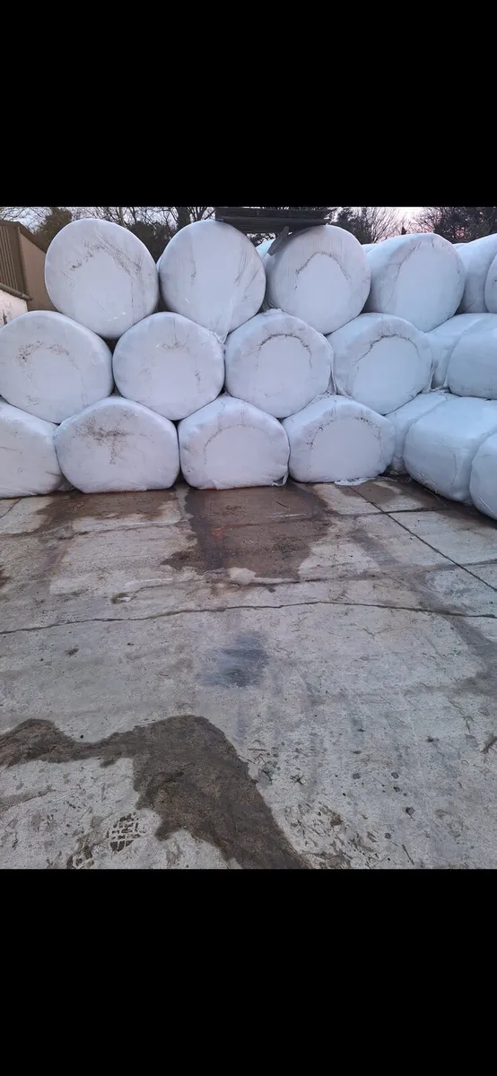 Haylage bales for sale