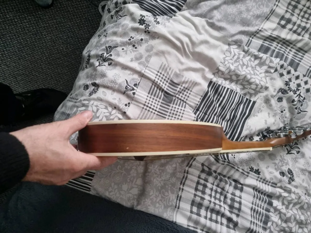 Ozark mandolin - Image 3