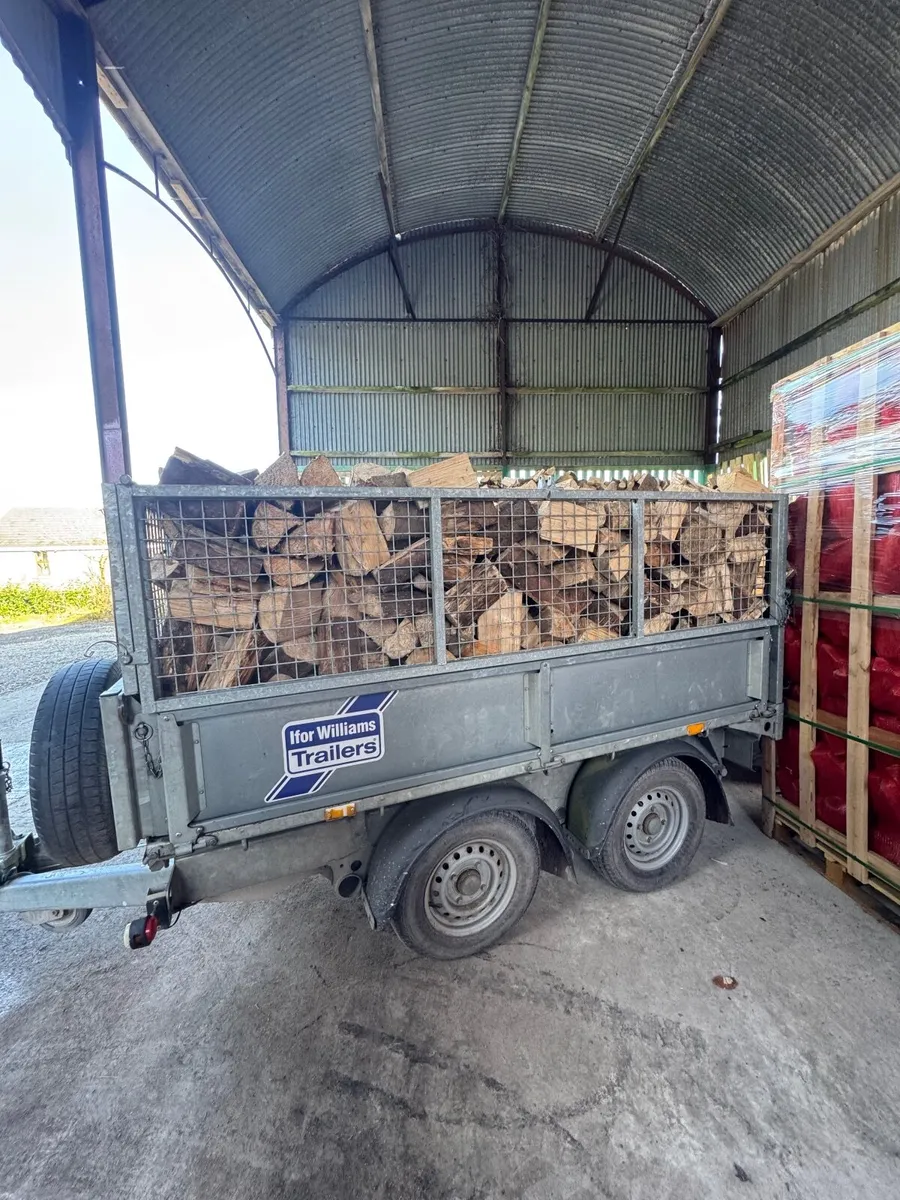 Dry Firewood - Image 2