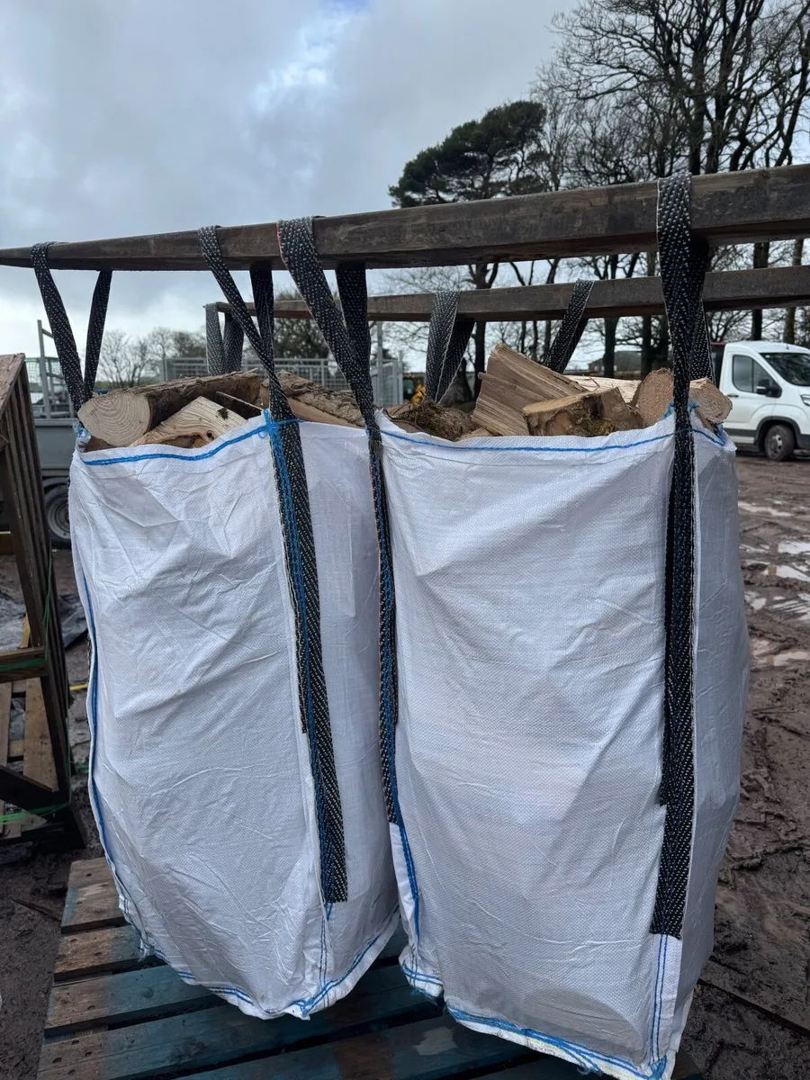 Dry Firewood - Image 4