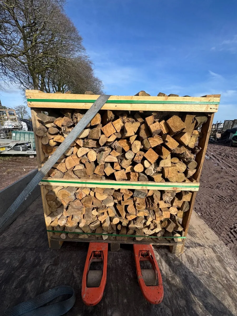 Dry Firewood - Image 1