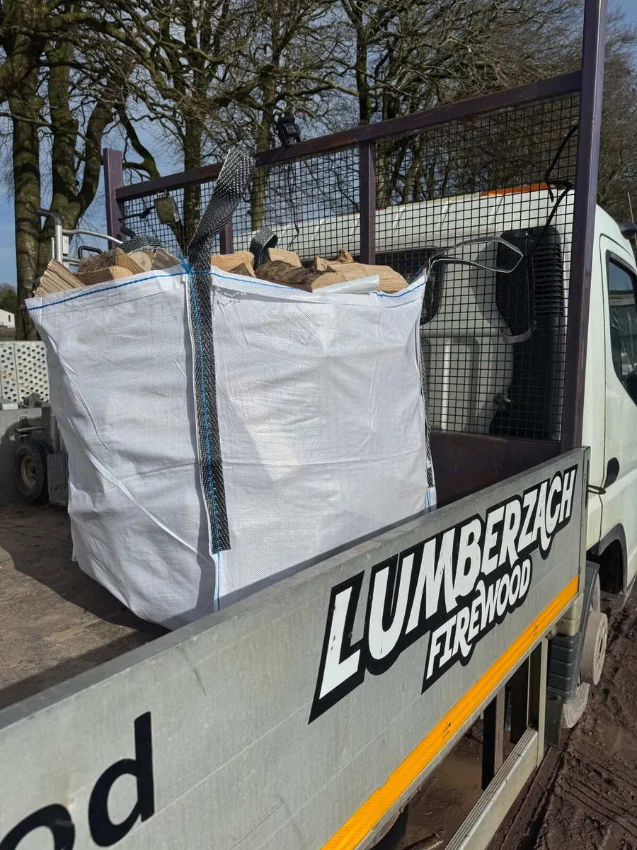 Dry Firewood - Image 3