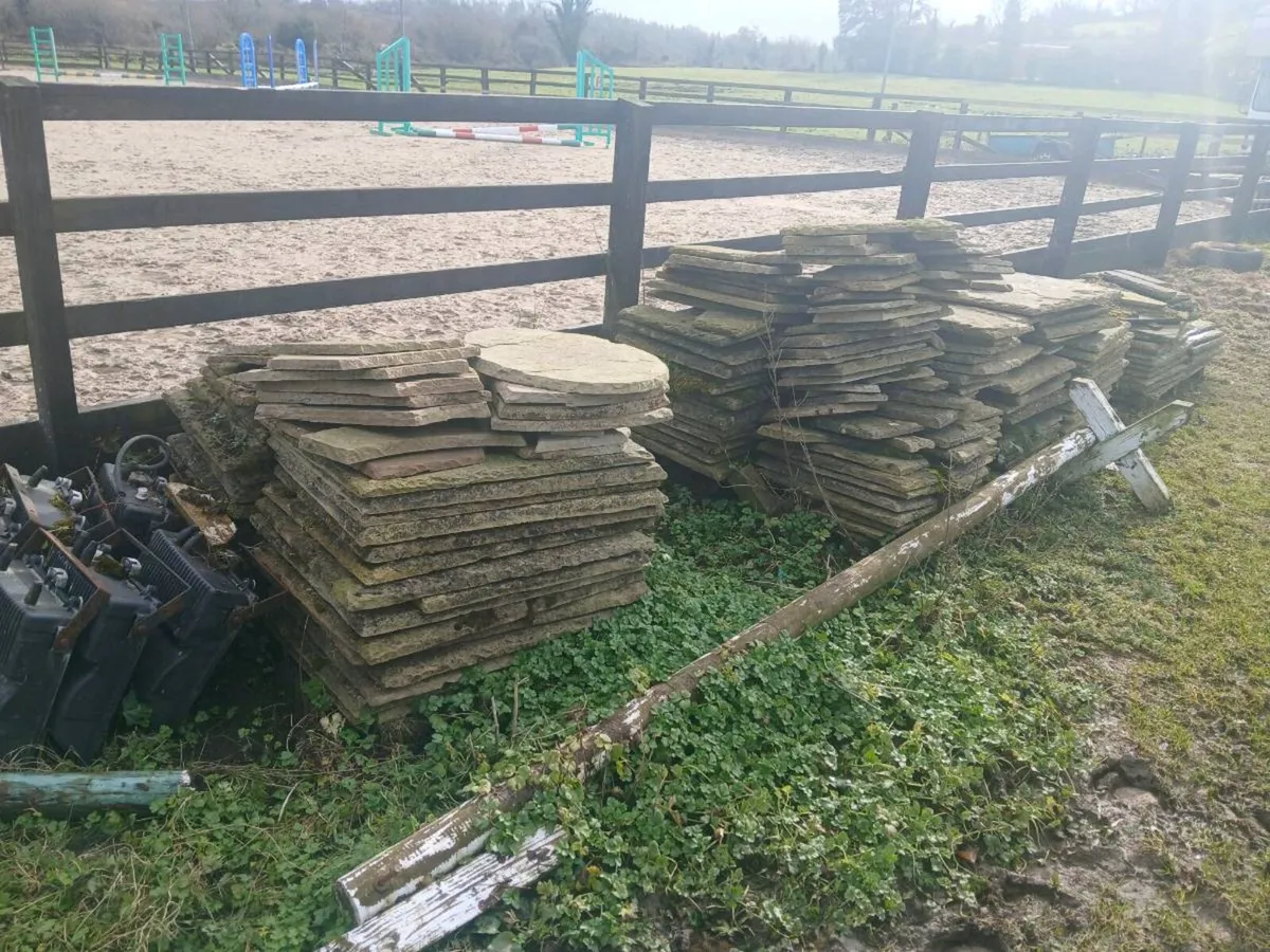 Flagstone paving sandstone - Image 4