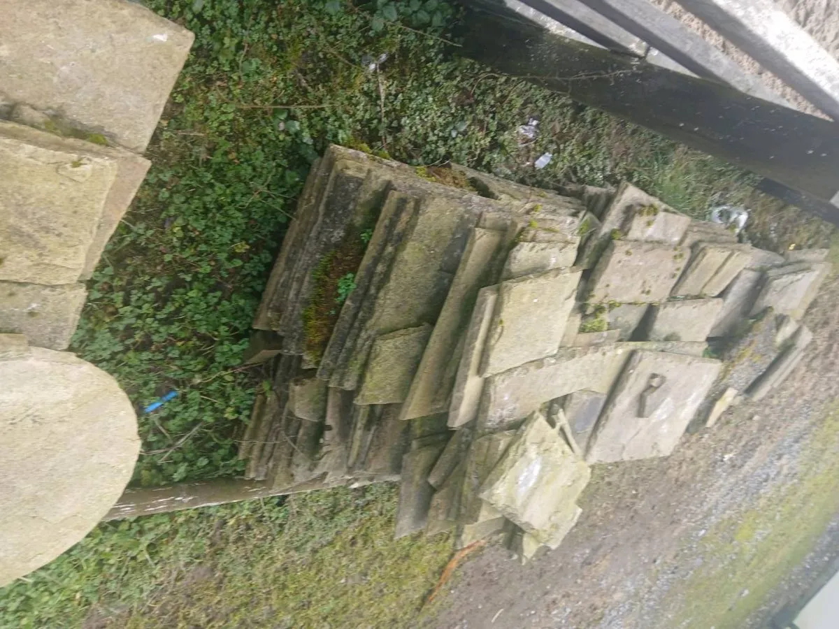 Flagstone paving sandstone - Image 3