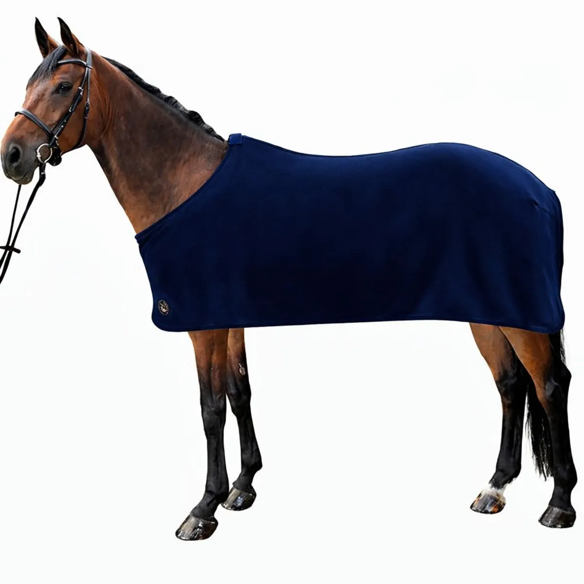 STOCK CLEARANCE - MAKE OFFERS - Image 1