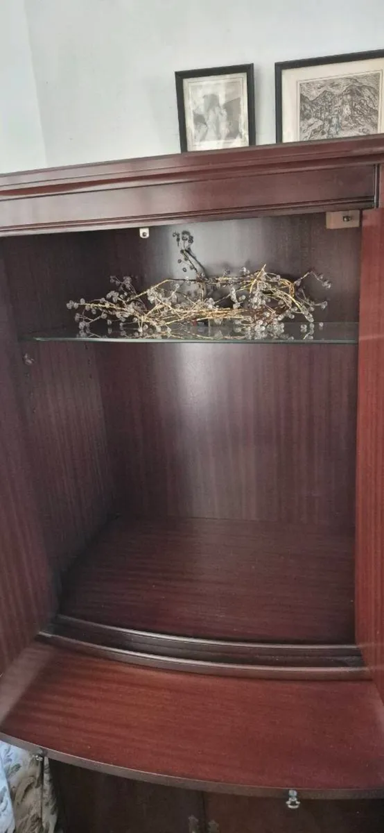 Mahogany Cabinet Unit - Image 4