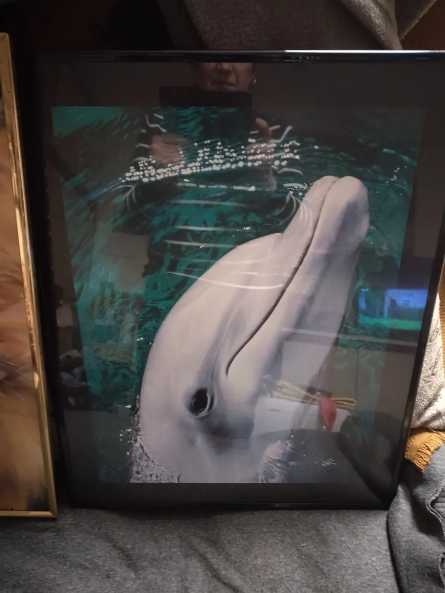 2  wall pictures  1 tray and 1 jigsaw map - Image 4