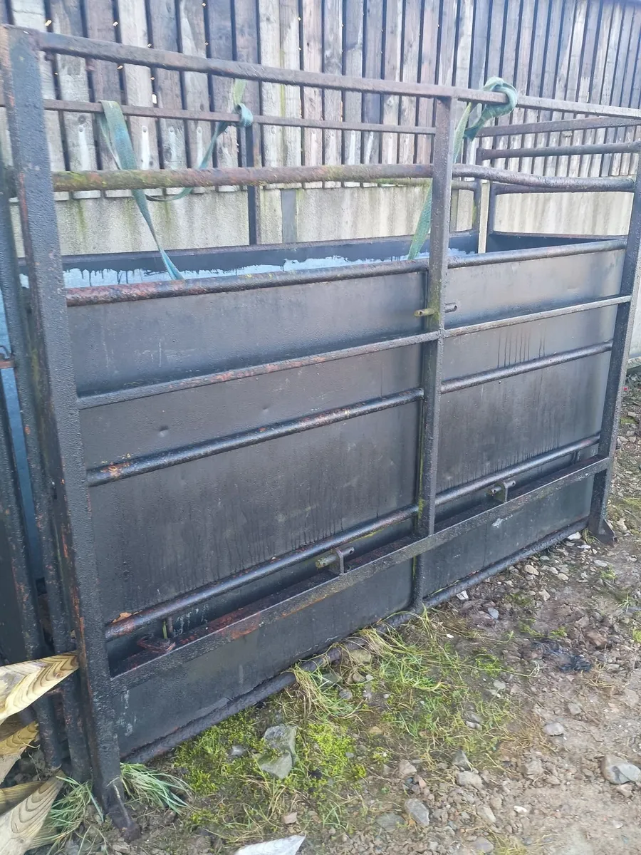 Cattle crush  box. - Image 2