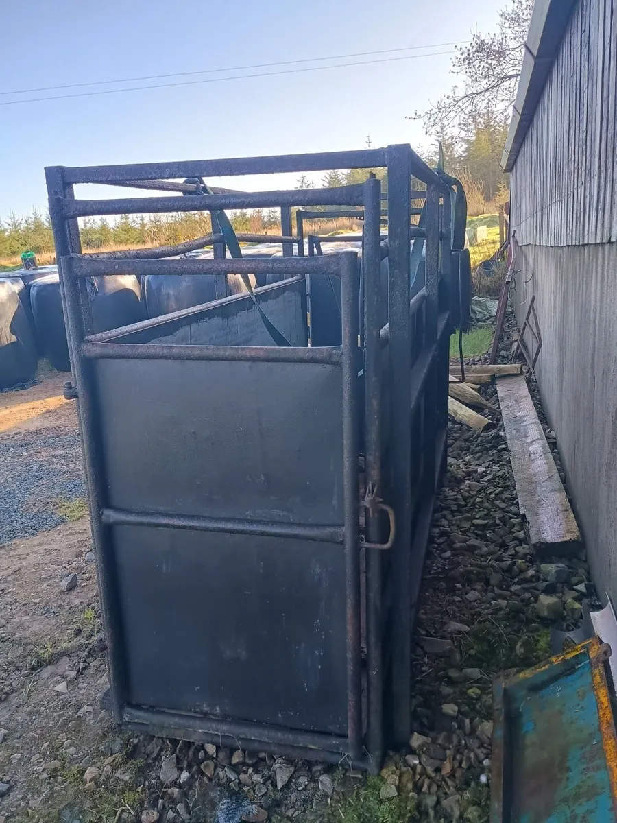 Cattle crush  box. - Image 1