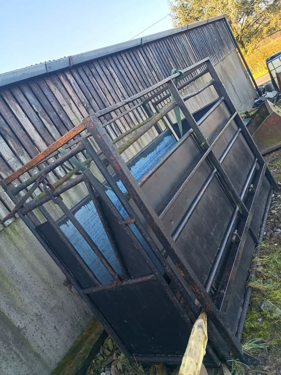 Cattle crush  box. - Image 3