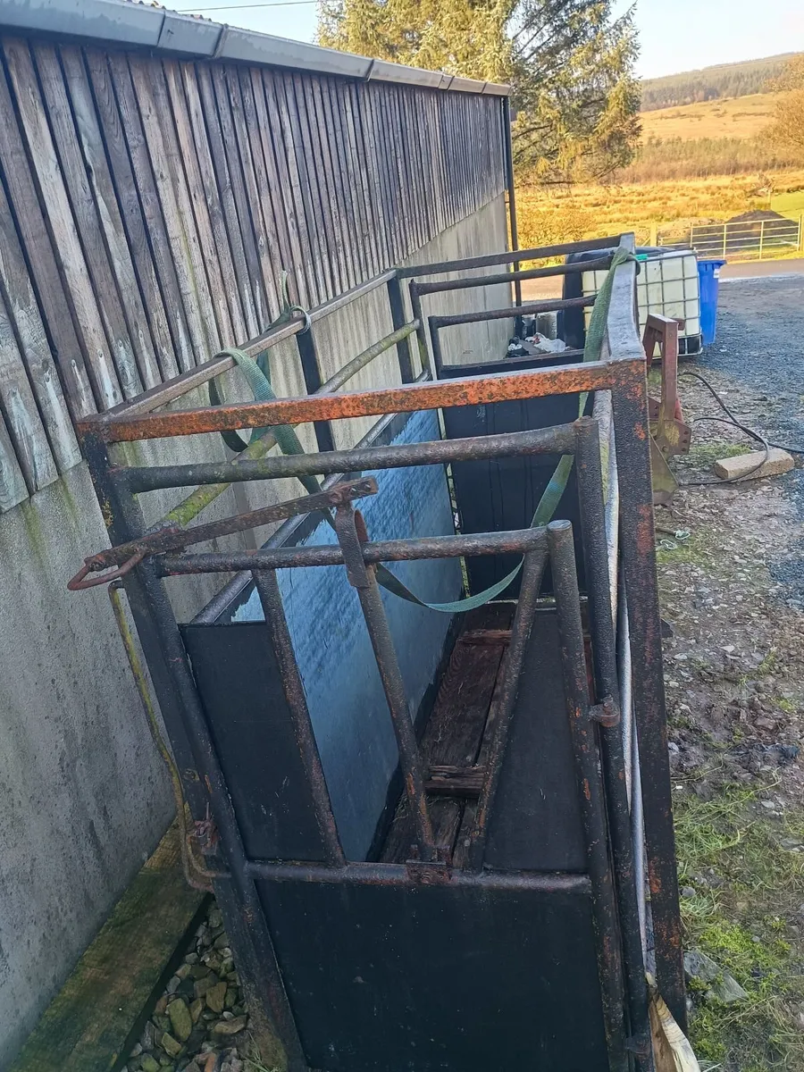 Cattle crush  box. - Image 4