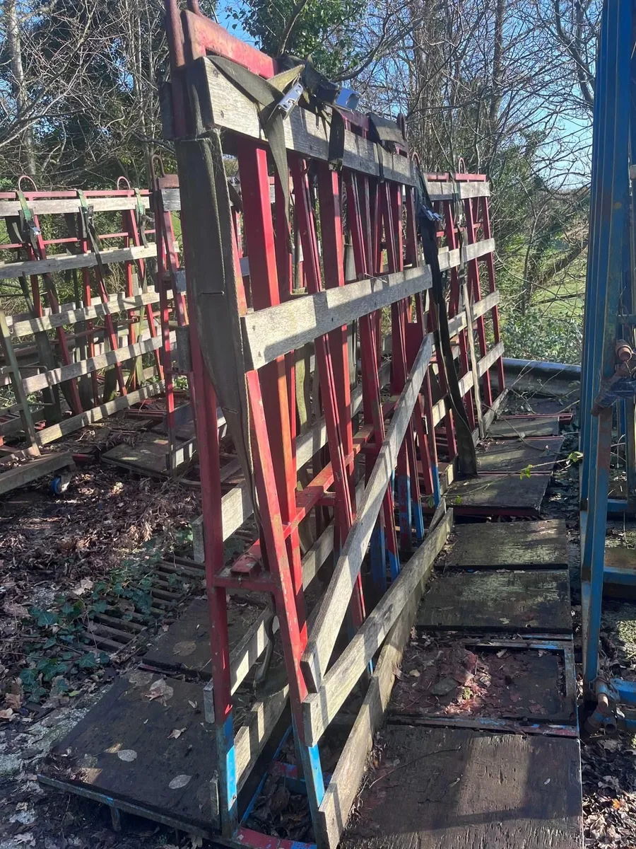 Glass Racks - Image 3