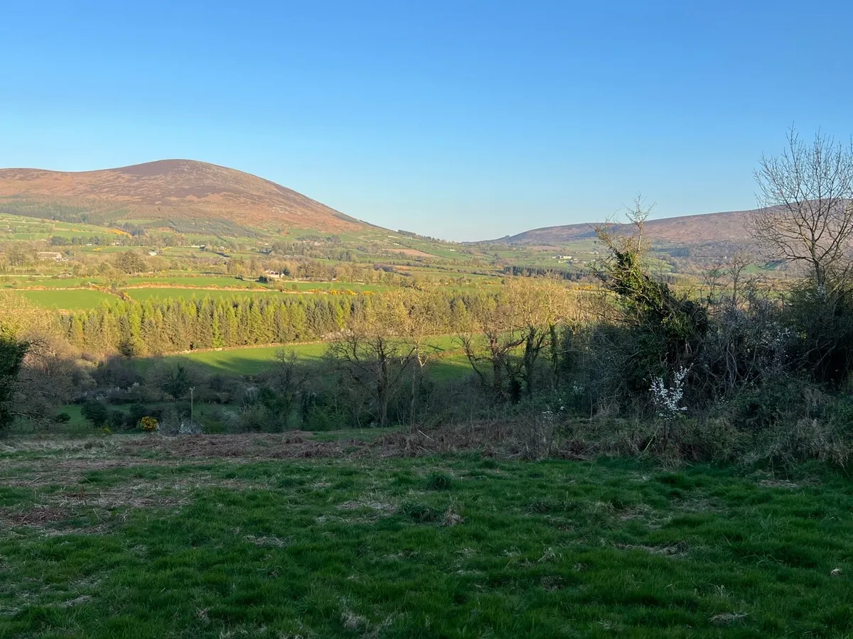 Site for Sale, Borris Co Carlow - Image 1