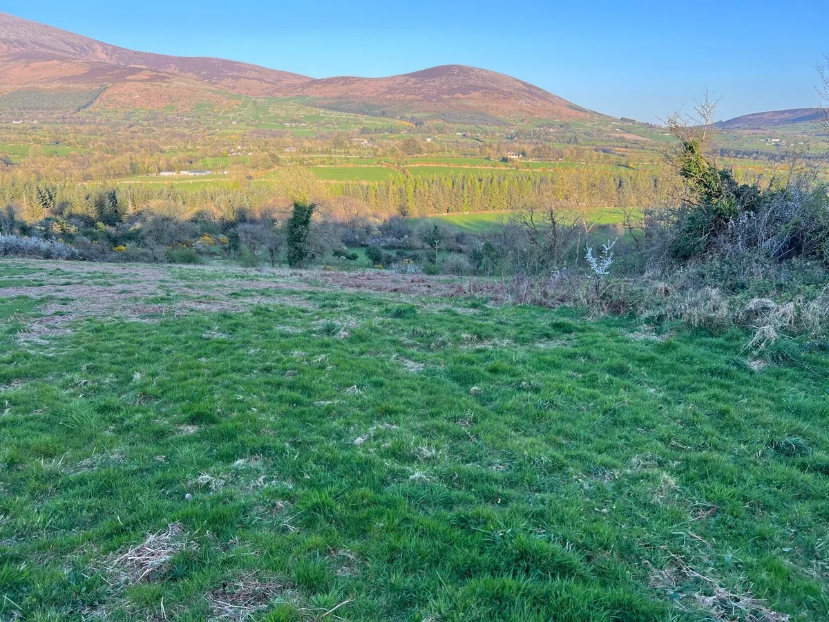 Site for Sale, Borris Co Carlow - Image 2