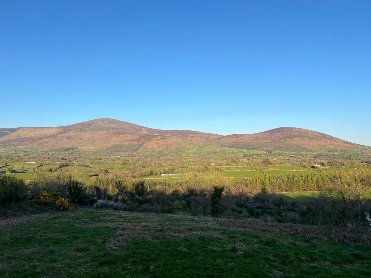 Site for Sale, Borris Co Carlow - Image 4