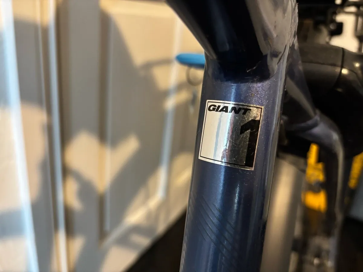 Giant Entoure 2019 e bike - Image 3