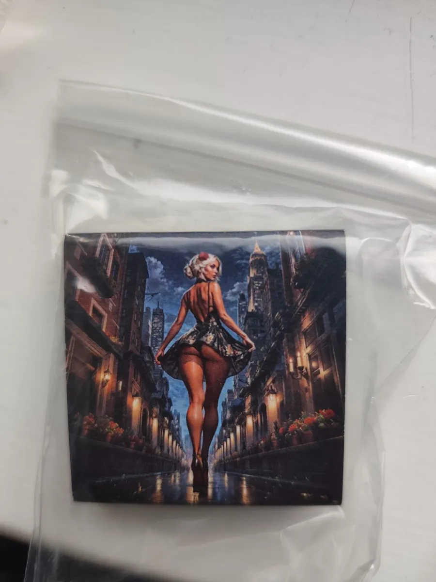 2025 Canada maple 1oz Silver coin from SCE series - Image 4