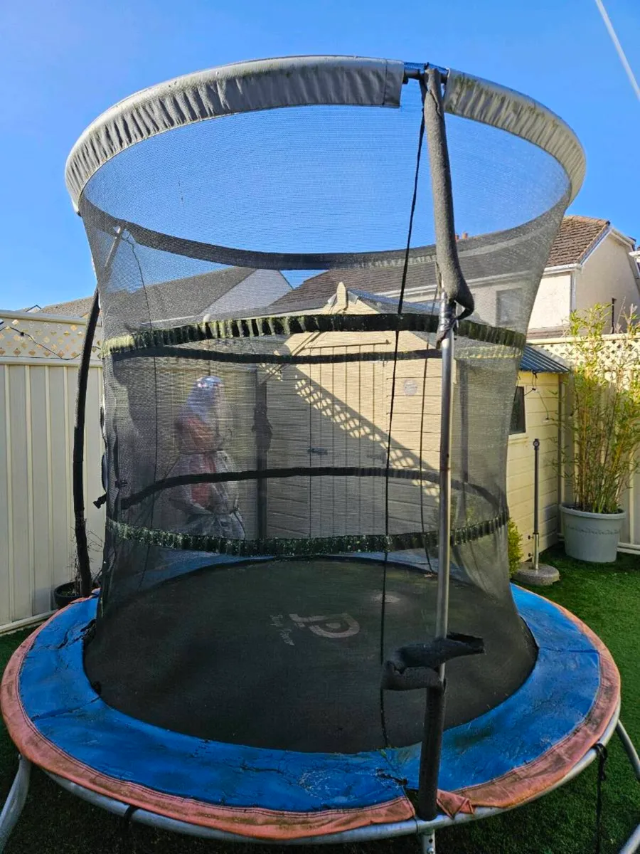 Trampoline - Image 2