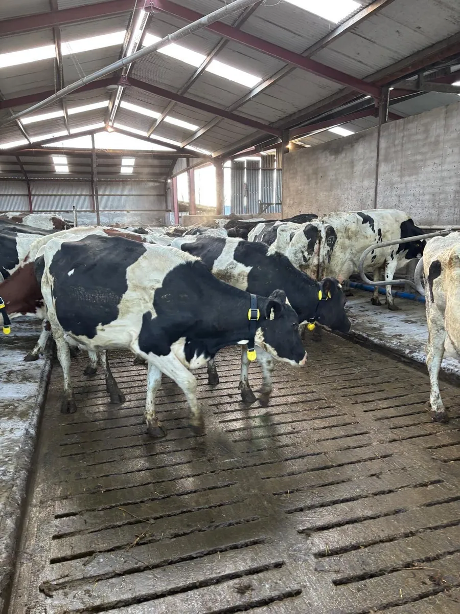 Heat detection system - Image 1