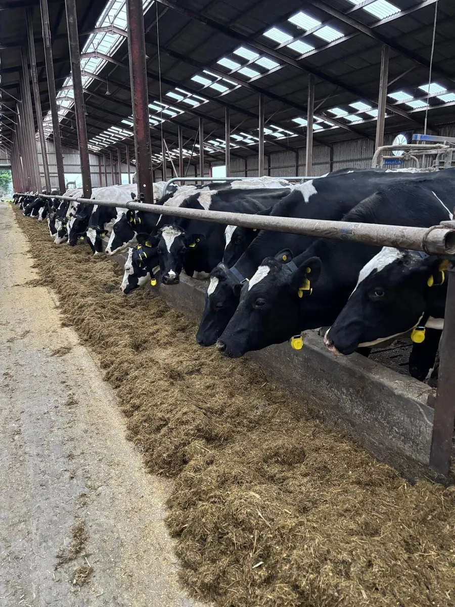 Heat detection system - Image 4