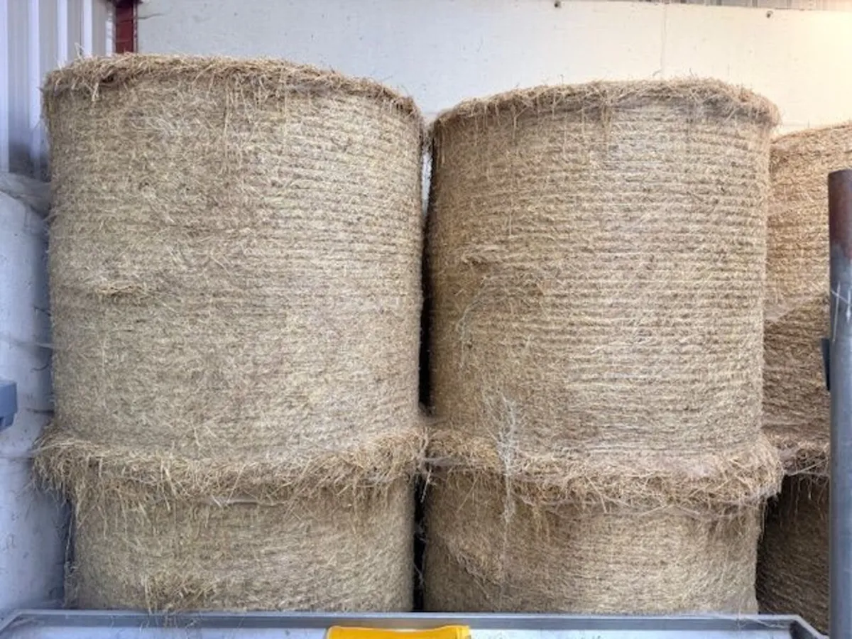 Hay for sale - Image 1