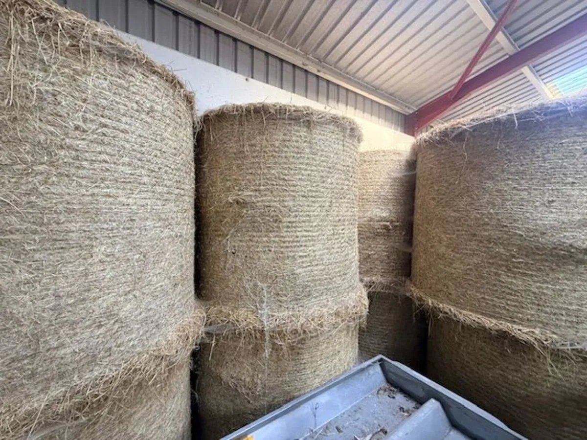 Hay for sale - Image 2